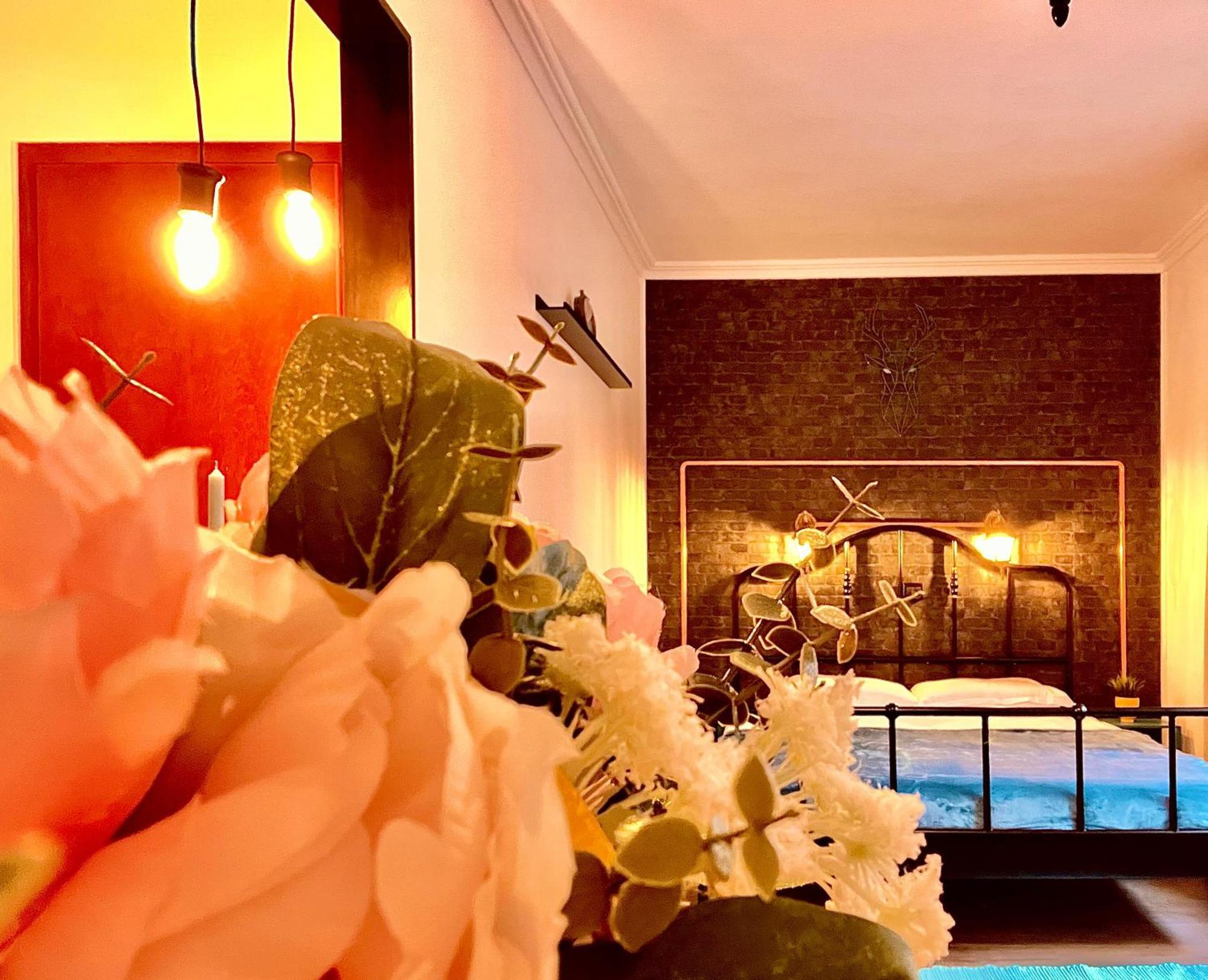 Cozy Hideout - Condo Hotel Τιμισοάρα Εξωτερικό φωτογραφία